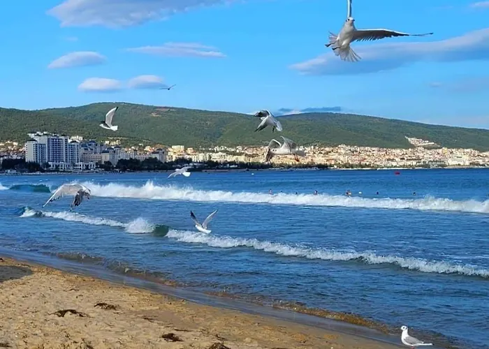 Wonderful Deluxe In Cascadas Family Sunny Апартамент